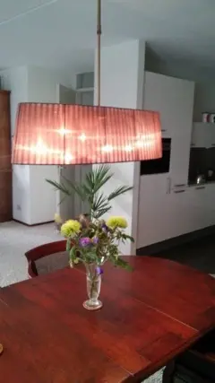 Tafellamp Mooie lamp (incl ledlampjes) boven eettafel