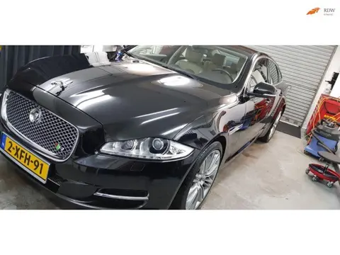 Jaguar XJ 3.0 V6D Portfolio geheel R uitgevoerd met extra pk plus GPS echt een bom 20 inch velgen te