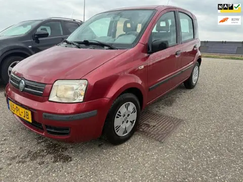 Fiat Panda 1.2 Dynamic VERKOCHT