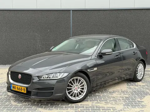Jaguar XE 2.0 D Portfolio Xenon Leder Navi