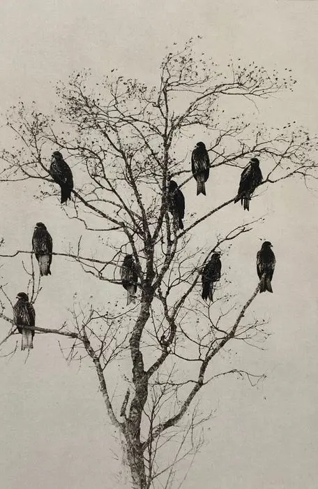 Masao Yamamoto (1957) - Iron blue