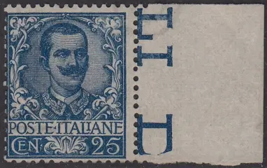 Koninkrijk Italië 1901 - Floreale, c. 25 azzurro con parziale decalco, spettacolare - n. 73q