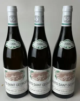 2006 Nuits Saint Georges (Blanc) - Charles Noellat -