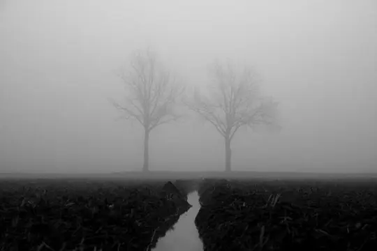 Elliott Grieshofer - Confine