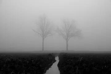 Elliott Grieshofer - Confine