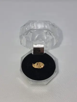 Goud natuurlijk goudklompje Australië - 1.22 g - (1)