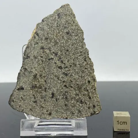 MARS Meteoriet, NWA 13257 Shergottiet, XXL PLAK MUSEUM -