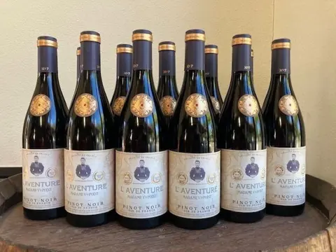 2021 Pinot Noir "L'Aventure" - Mme Veuve Point - Bourgondië