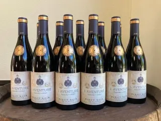 2021 Pinot Noir "L'Aventure" - Mme Veuve Point - Bourgondië