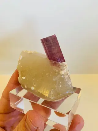 Tourmaline) Kristal op matrix - 7.2×7×4.2 cm - 220 g