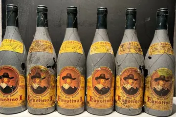 1995 Faustino I - Rioja Gran Reserva - 6 Flessen (0.75