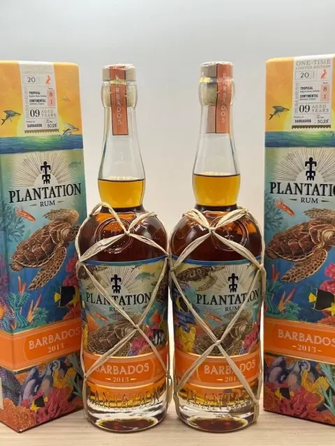 Plantation - Barbados 2013 West Indies 8 years - b. 2022 -