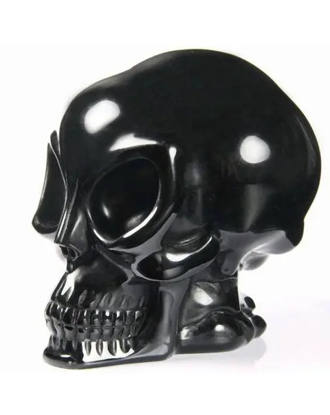 Zeldzame Obsidiaan Realistische buitenaardse schedel -