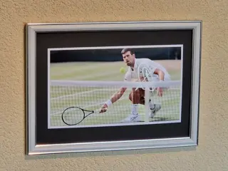 Tennis - Novak Djokovic - Foto