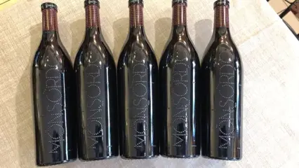 2016 Ceretto, Monsordo Rosso Langhe - Piëmont DOC - 5