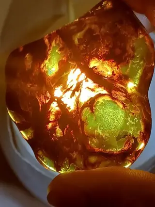 Amber - polijsten van fossiele hars - blue amber -