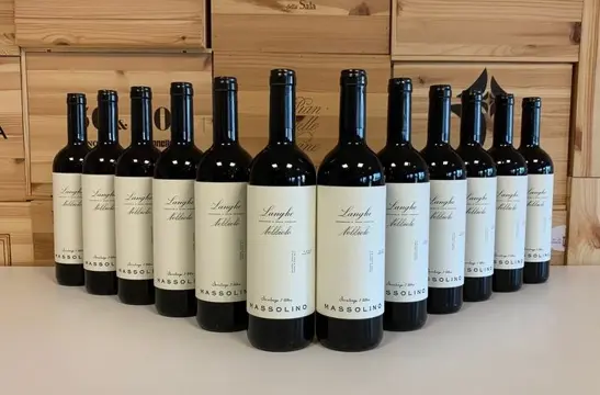 2020 Massolino Langhe Nebbiolo - Piëmont - 12 Flessen (0.75