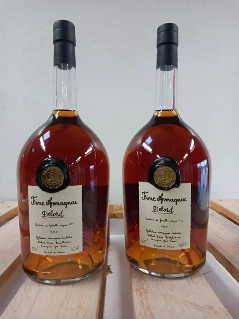 Delord - Fine Armagnac - Magnum - 1,5 Liter - 2 flessen