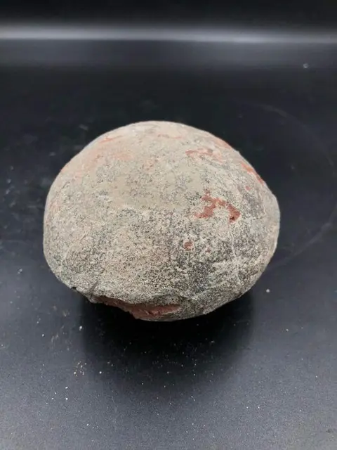 Dinosaurus - dinosaurus ei - Hadrosaurus or Therizinosaurus