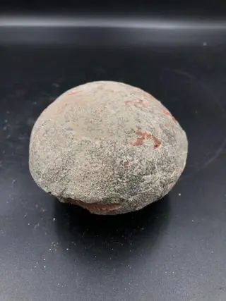 Dinosaurus - dinosaurus ei - Hadrosaurus or Therizinosaurus