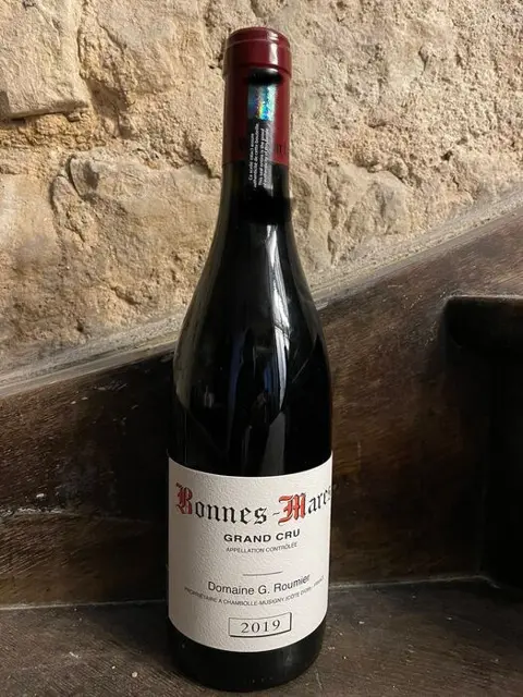 2019 Domaine G. Roumier - Bonnes-Mares Grand Cru - 1 Fles