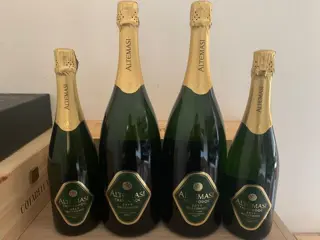 2019 Altemasi Brut - Trentino Alto Adige - 4