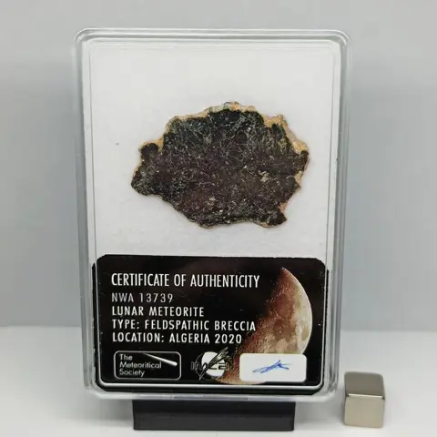 XL Authentieke MAAN METEORIET. NWA 13739 (ALGERIJE, 2020).