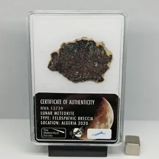 XL Authentieke MAAN METEORIET. NWA 13739 (ALGERIJE, 2020).