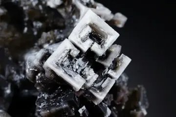 ZWARTE HALITE met zwarte BIOLOGISCHE insluitsels -