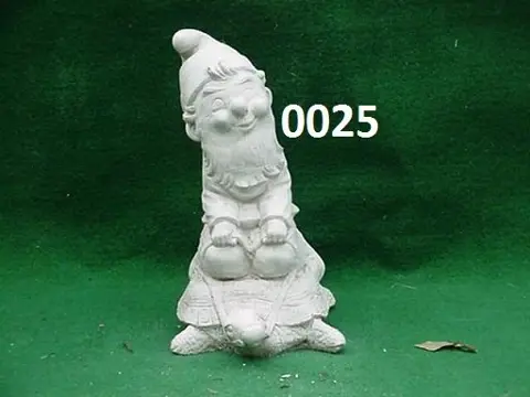 Kabouter op schildpad