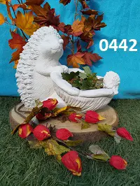 Egel met water/ planten bakje.