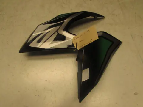 RECHTER ZIJKUIP KLEIN Kawasaki Overige Kawasaki 1960 - 2021