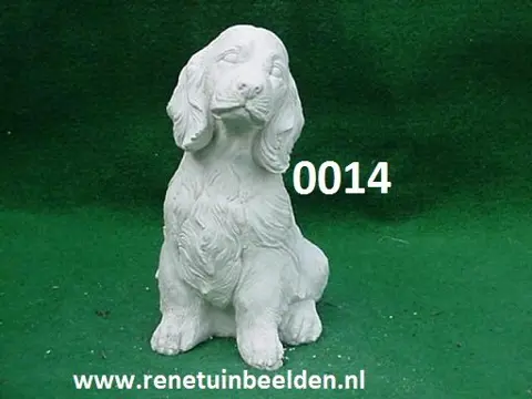 COCKER SPANIEL