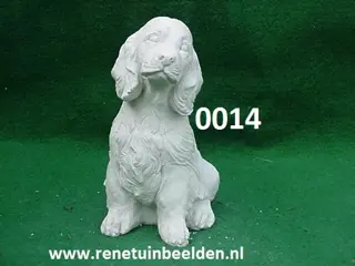 COCKER SPANIEL