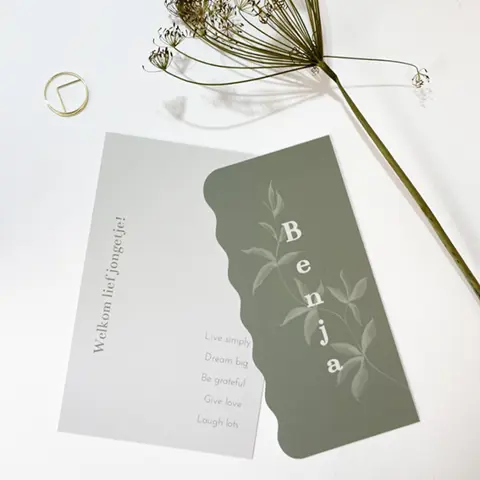 De mooiste kaarten bij JilleJille.nl