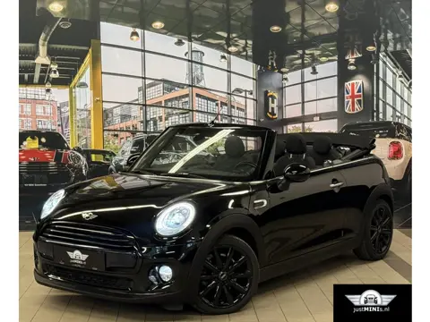MINI COOPER CABRIO AUT 136 pk 1 EIG NAVI H-LEDER UNION JACK MINI COOPER CABRIO AUT 136 pk 1 EIG NAVI