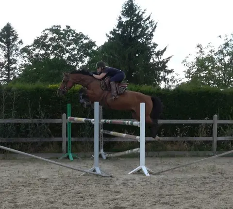Top merrie super voor Jumping Eventing en Fokkerij
