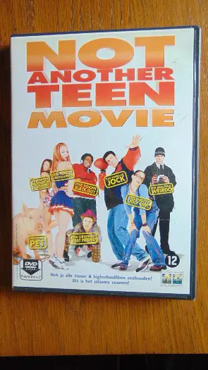 Not another teen movie dvd