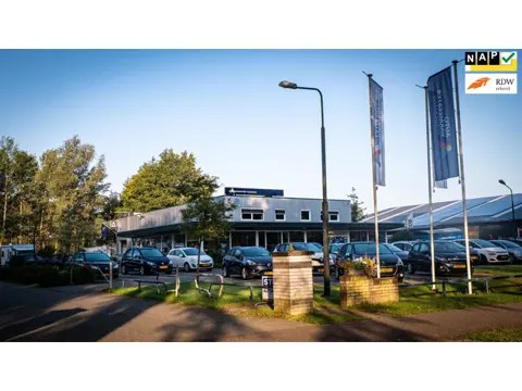 Fiat Seicento 1100 ie Young