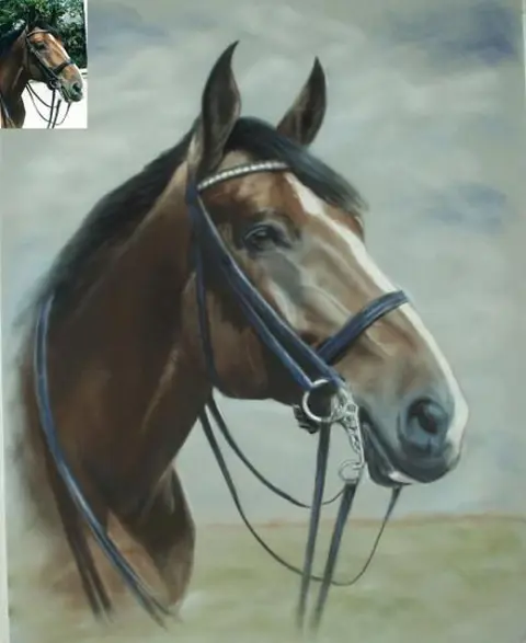 Mooie tekening van uw paard