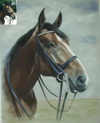 Mooie tekening van uw paard