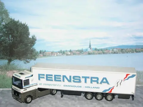 Feenstra Renault 60002 AWM. HO