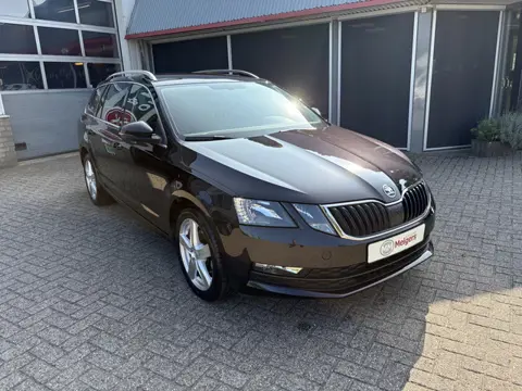 Škoda Octavia Combi 1.0 TSI Greentech Business Edition