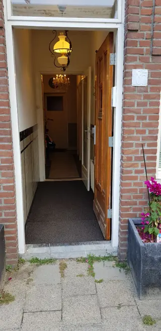 Kamer te huur gevraagd. Den Haag met e.v.t. gebruik van tuin. (hobby)