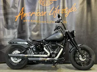 Harley-Davidson Chopper Softail Heritage Custom build FLHCS