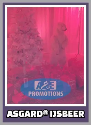 Verhuur winterwonderland items apeldoorn ede