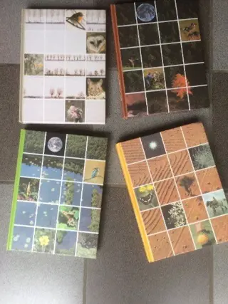 Artis historia boeken (reeks de vier seizoenen)