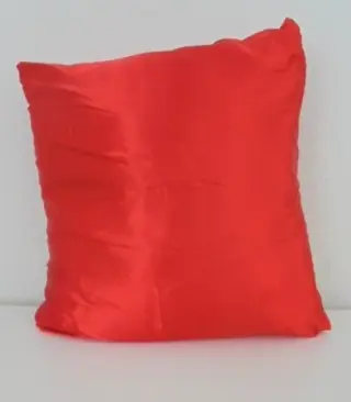 KUSSEN met HOES ROOD 40X40 CM NIEUW