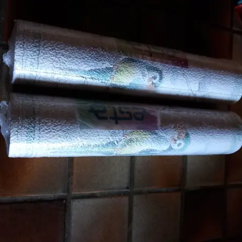 ESTA BEHANG, nieuw, 10 meter x 27 cm - vogels