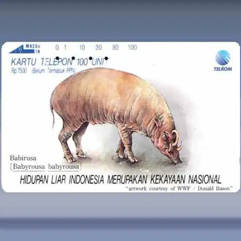 Babirusa (1992)